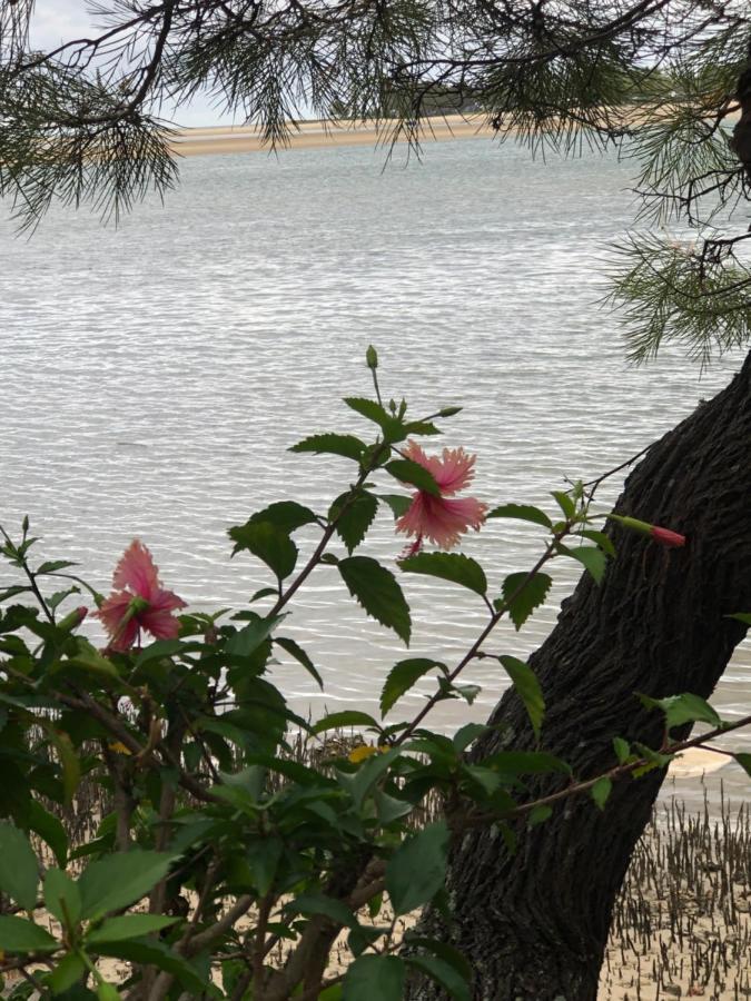 4Shore@Waterfrontplace Maroochydore Zewnętrze zdjęcie